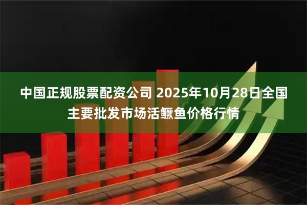 中国正规股票配资公司 2025年10月28日全国主要批发市场活鳜鱼价格行情