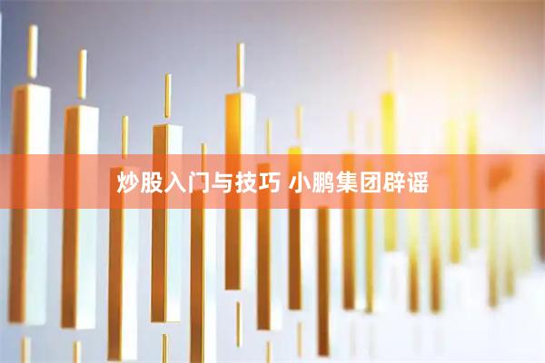 炒股入门与技巧 小鹏集团辟谣